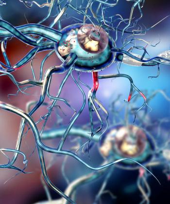 Zbulohet një lloj i ri i qelizave cerebrale përgjegjëse për kujtesën, të mësuarit dhe lëvizjen